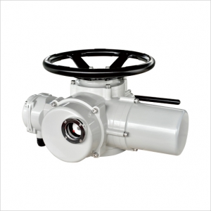 DY-Z10/30多回转基本型系列