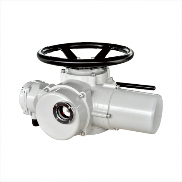 DY-Z10/30多回转基本型系列