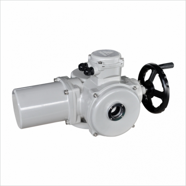 DY-Z45/120多回转基本型系列