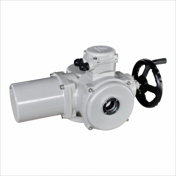 DY-Z180/250多回转基本型系列
