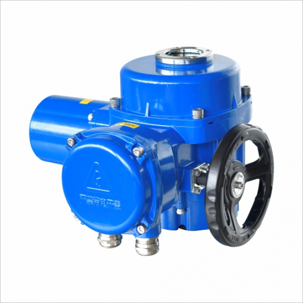 DY-Q-10/15S Q型电动执行器